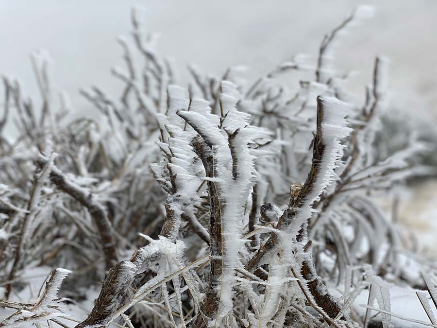 EHS Techniques | Consultoría especializada en medio ambiente