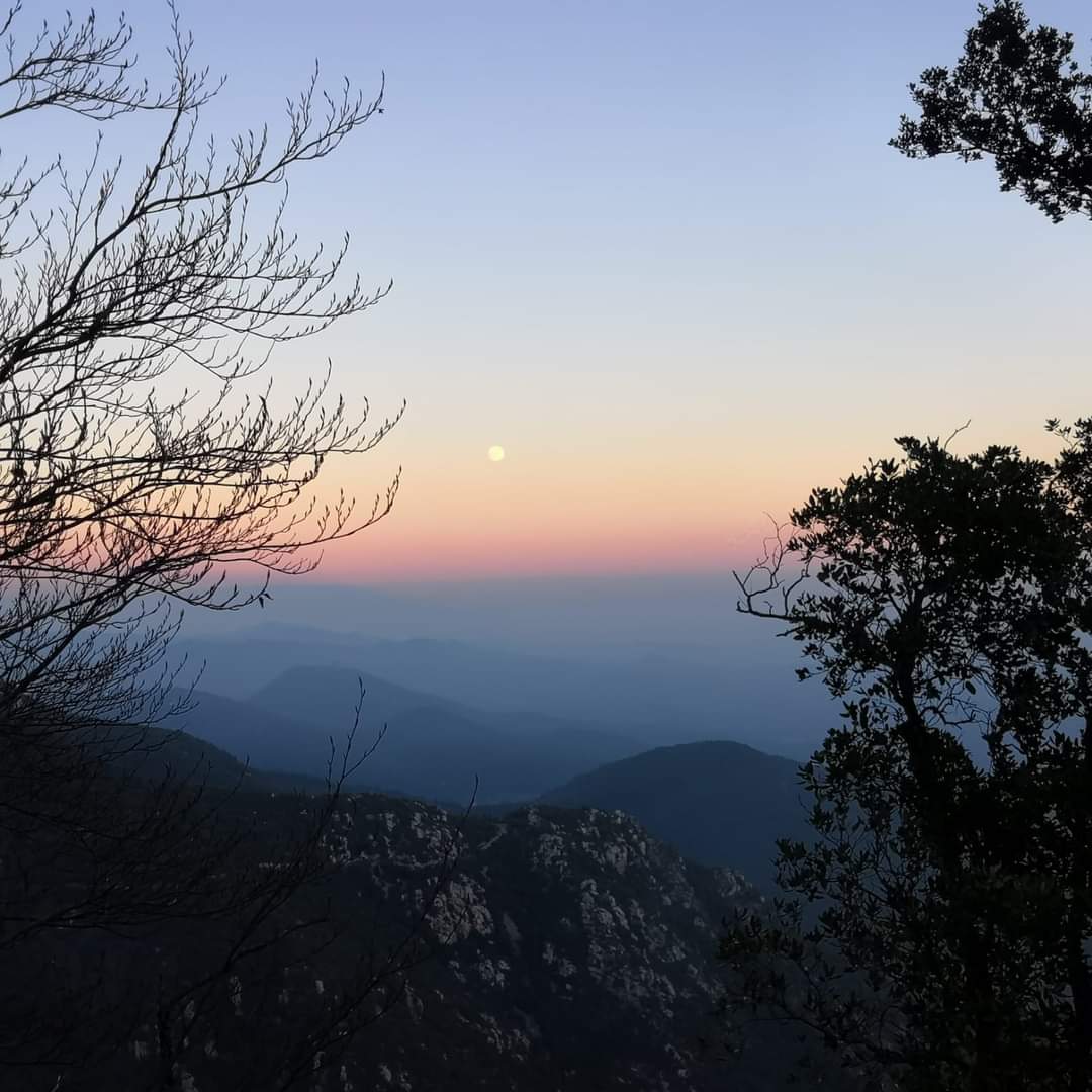 EHS Techniques | Specialized consultancy in the environment