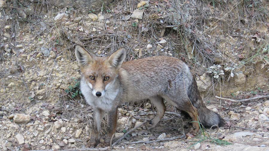 EHS Techniques | Specialized consultancy in the environment