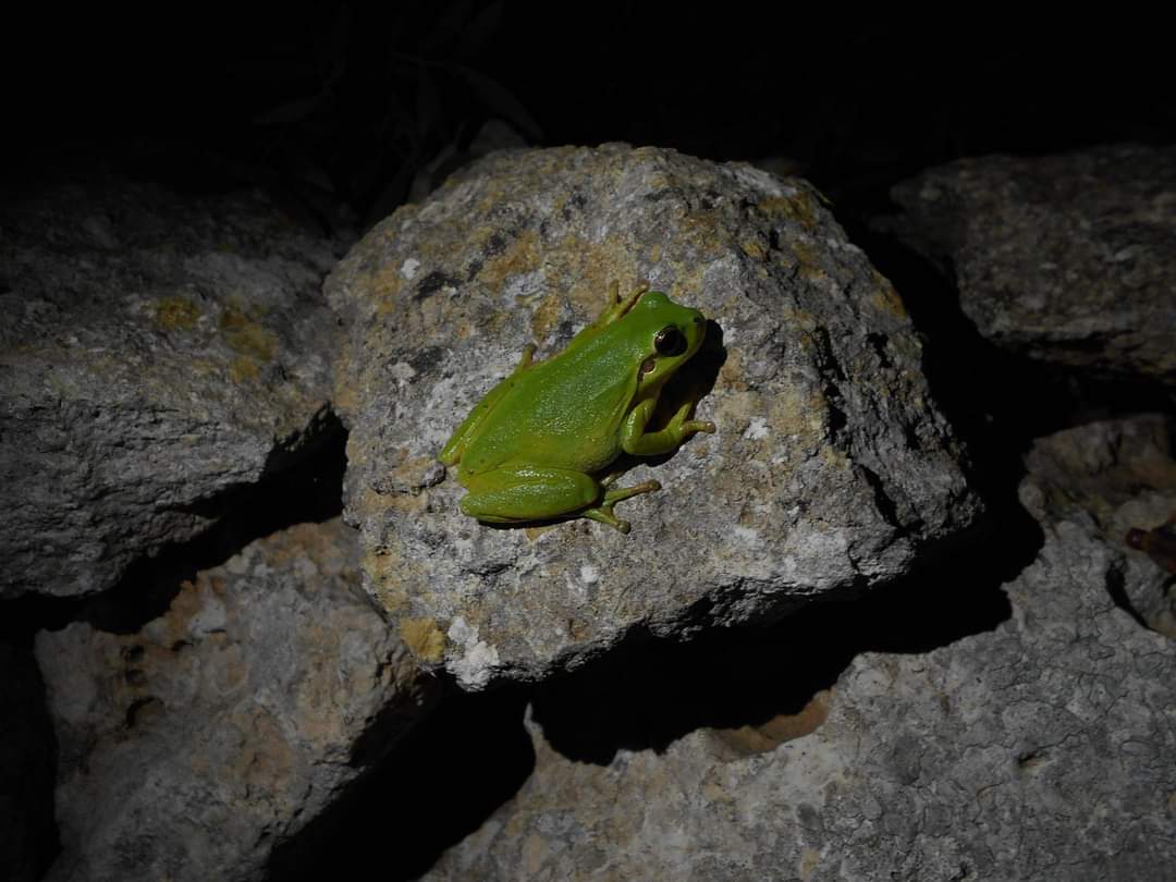 EHS Techniques | Specialized consultancy in the environment