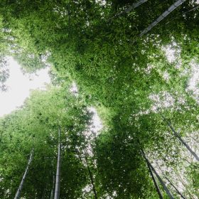 Impulsa tu estrategia circular. Analizamos el ciclo de vida y reducimos impactos con soluciones sostenibles, técnicas y a medida