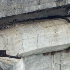 Previo a las actuaciones de obra de reparación del Viaducto Martín Gil, que transcurre sobre el embalse de Ricobayo, se procedió a la identificación de especies que pudieran anidar o buscar refugio en la propia infraestructura y en las zonas adyacentes que pudieran verse afectadas por las obras - Nidos de Avión Común