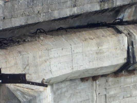 Previo a las actuaciones de obra de reparación del Viaducto Martín Gil, que transcurre sobre el embalse de Ricobayo, se procedió a la identificación de especies que pudieran anidar o buscar refugio en la propia infraestructura y en las zonas adyacentes que pudieran verse afectadas por las obras - Nidos de Avión Común