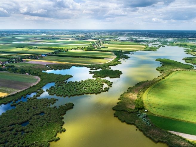 La necesidad de aunar esfuerzos en la conservación de la biodiversidad asegurará un desarrollo humano sostenible